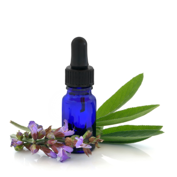 sage,herb,leaves,leaf,flowers,floral,flora,flower,aromatherapy,essential,oil,glass